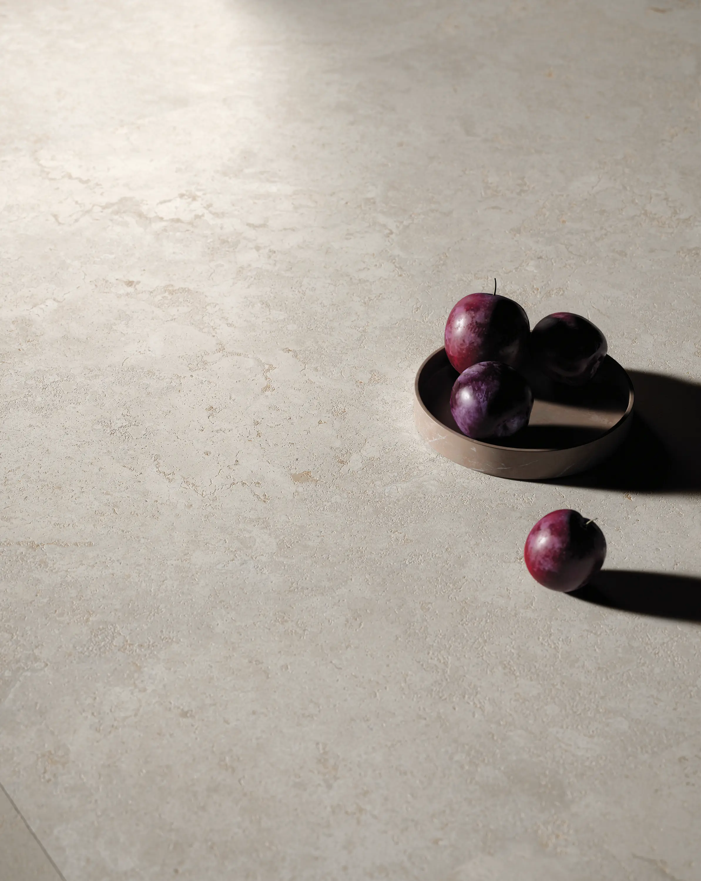 Light neutral surface with dramatic shadows and dark decorative fruits - Aeterna X